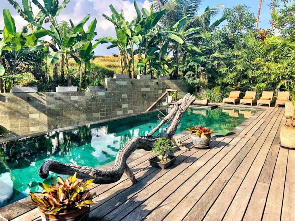 Dragon House - Your Dream House In Bali! อูบุด ภายนอก รูปภาพ