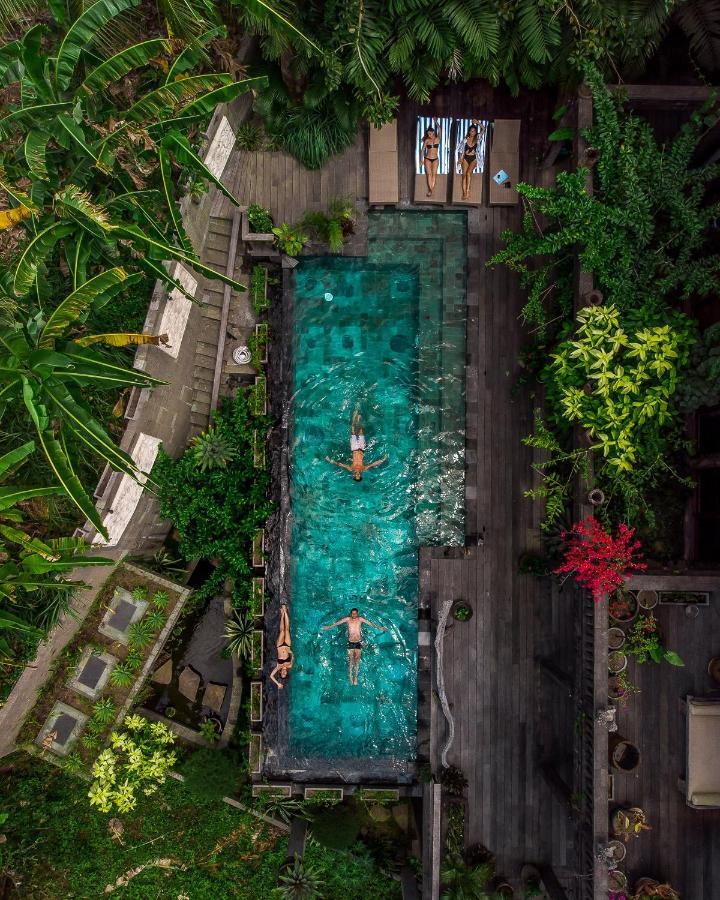 Dragon House - Your Dream House In Bali! อูบุด ภายนอก รูปภาพ